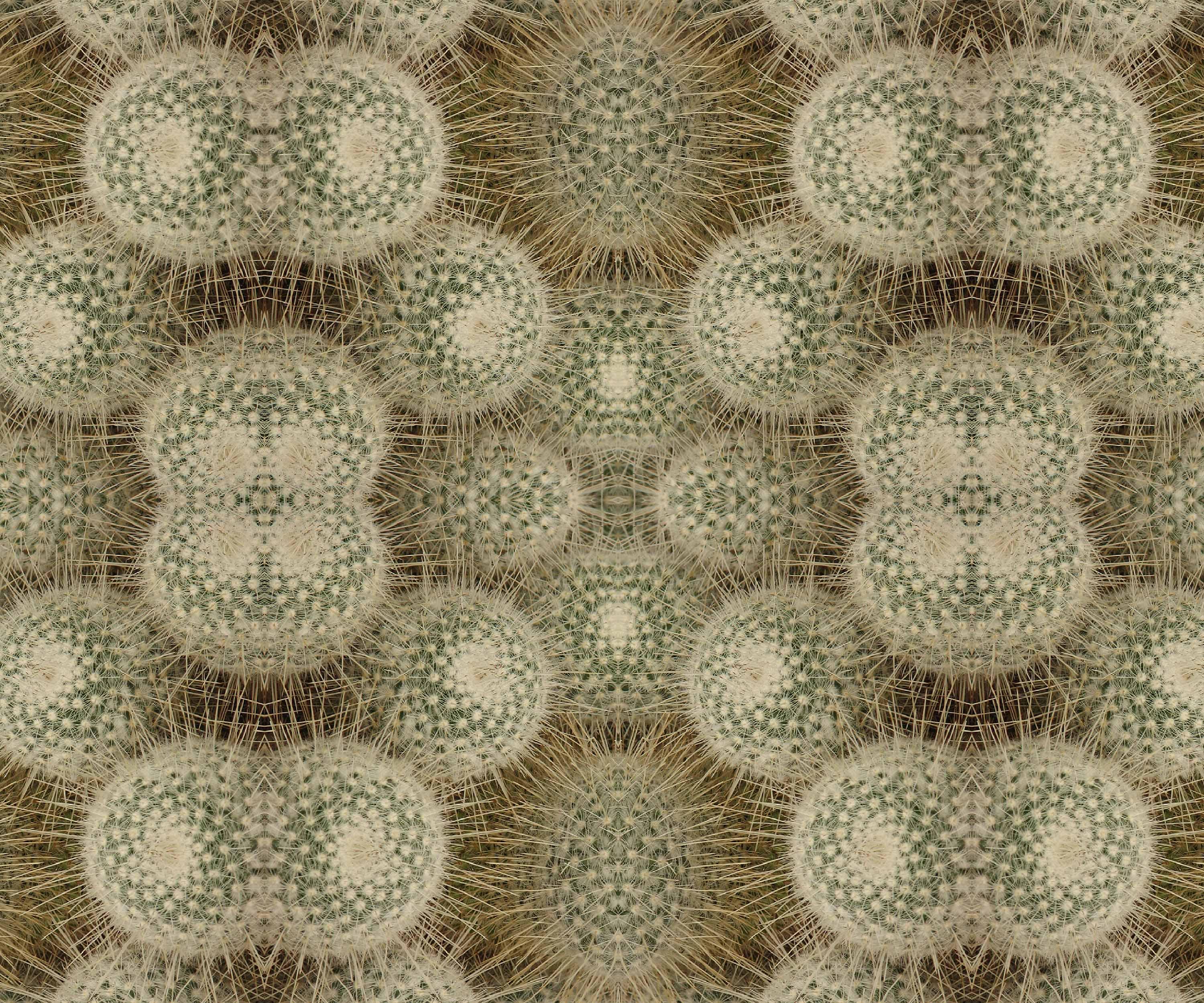 Abstract flower velvet fabric, subtle beige floral textile. Neutral designer fabric, contemporary luxury material for home decor. Curtaining 4