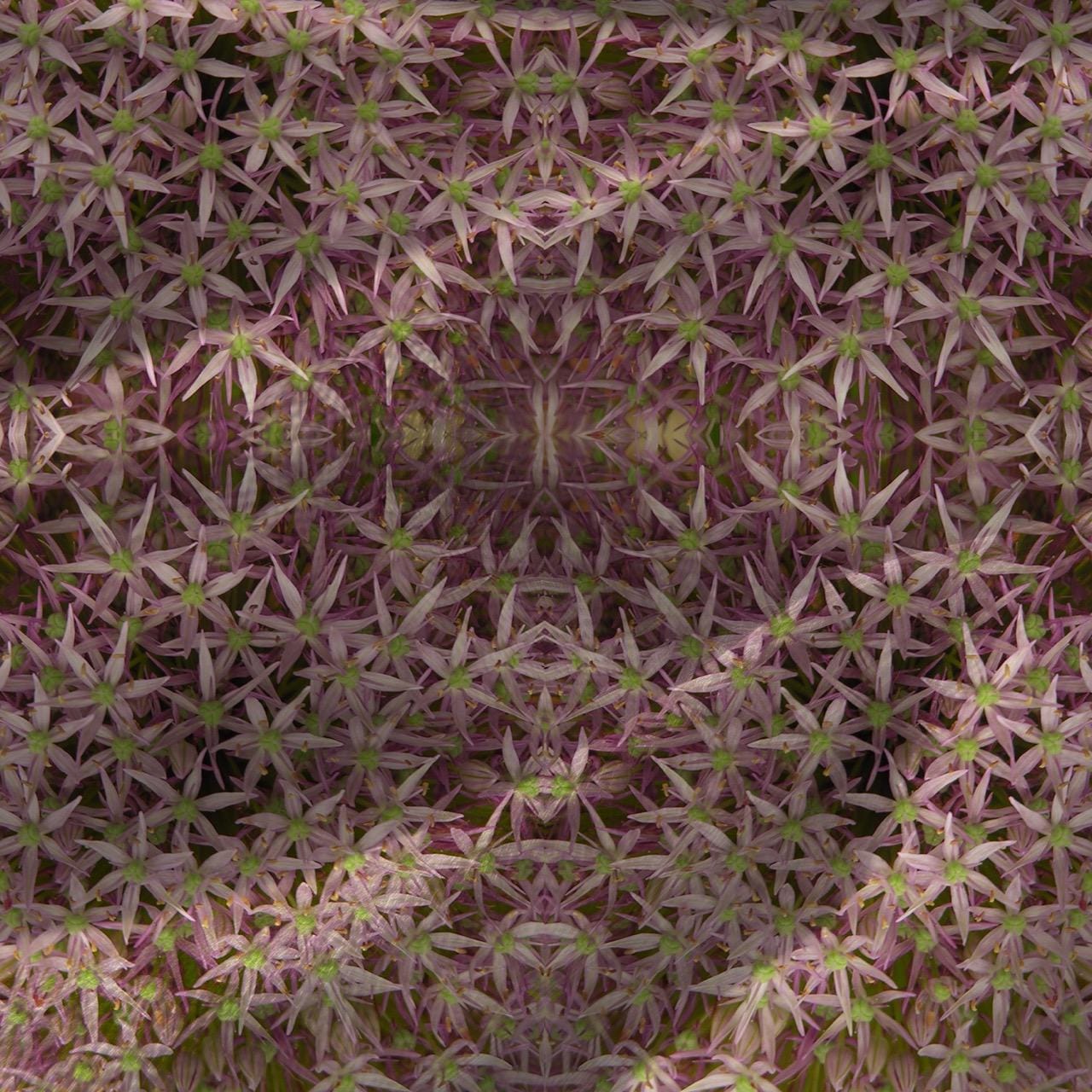 Abstract floral velvet fabric, subtle pink floral textile. Neutral designer fabric, contemporary luxury material for home decor. Curtaining 3