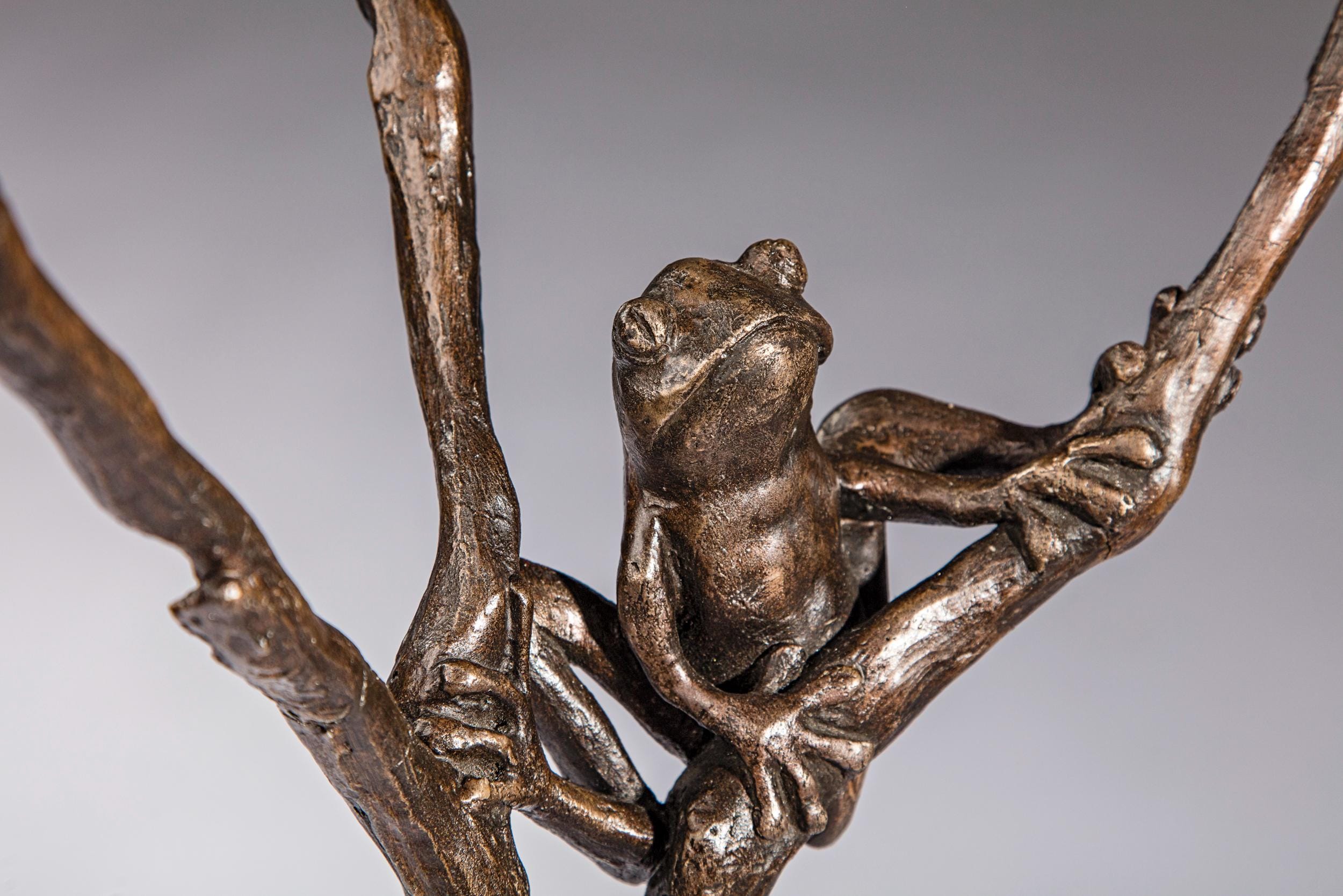 Tree Frog sculpture - Bronze Resin Sculpture by Kate Cledwyn