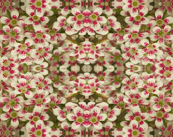 Mini Floral, velvet by the metre, upholstery, home furnishings, pink, floral theme.