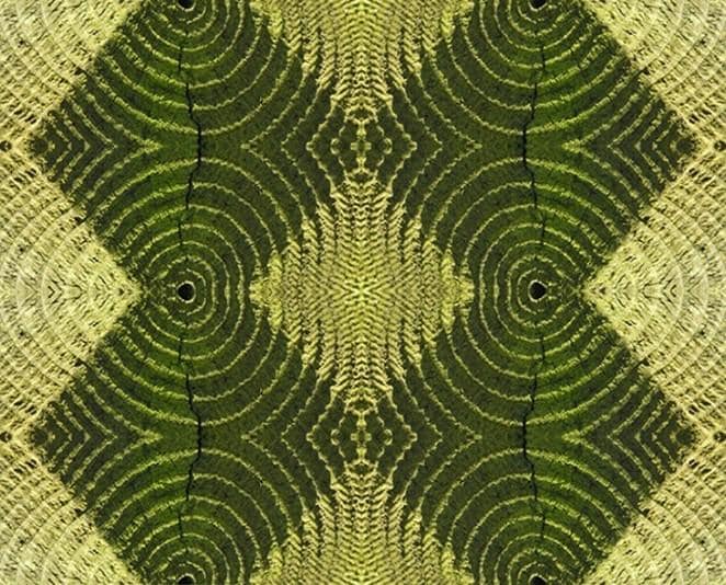 Abstract flower velvet fabric, subtle floral textile. Neutral designer fabric, contemporary luxury material for home decor. Curtaining