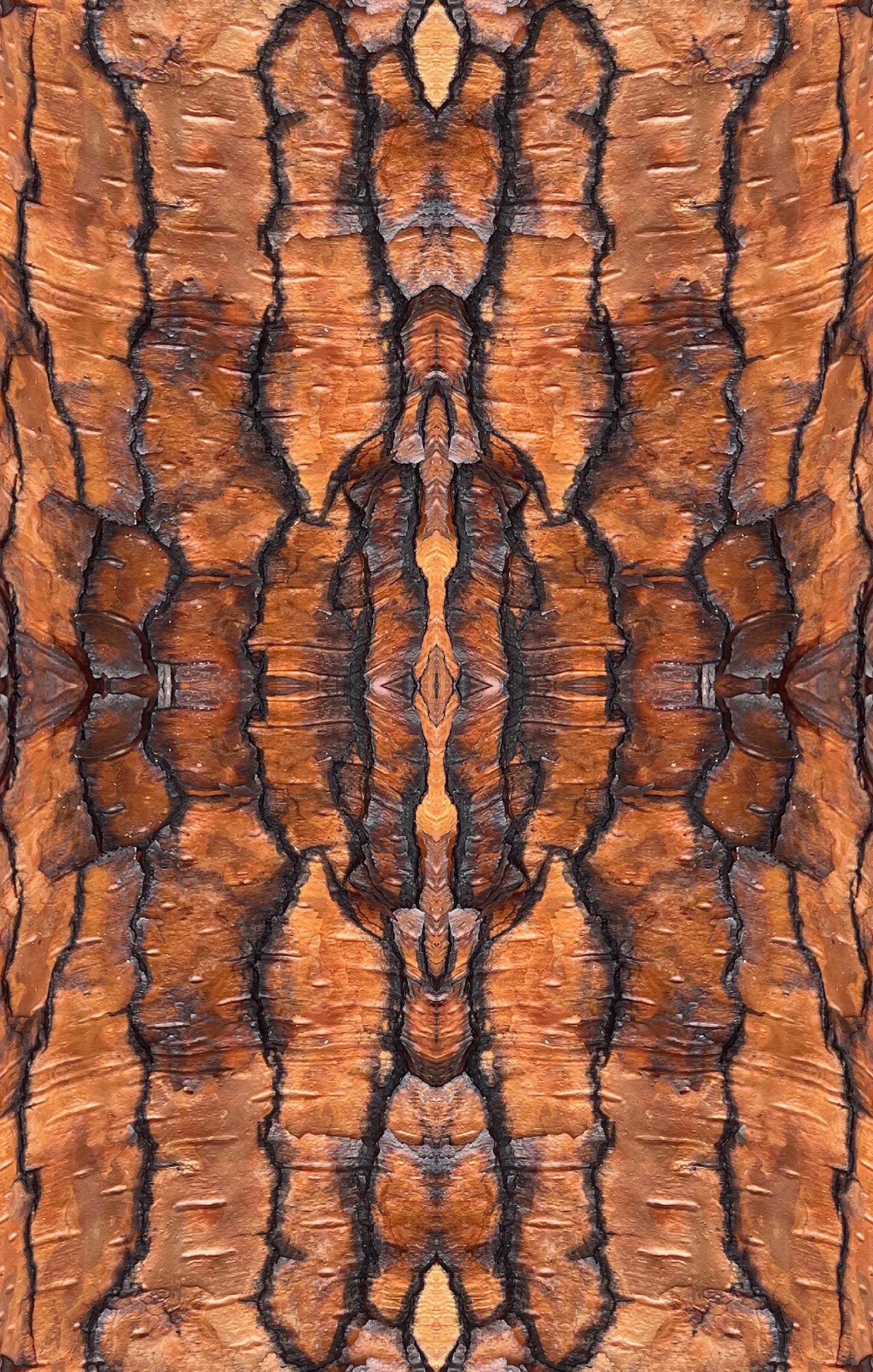 Abstract bark linen fabric, bold copper bark textile. Neutral designer fabric, contemporary luxury material for home decor. Curtaining