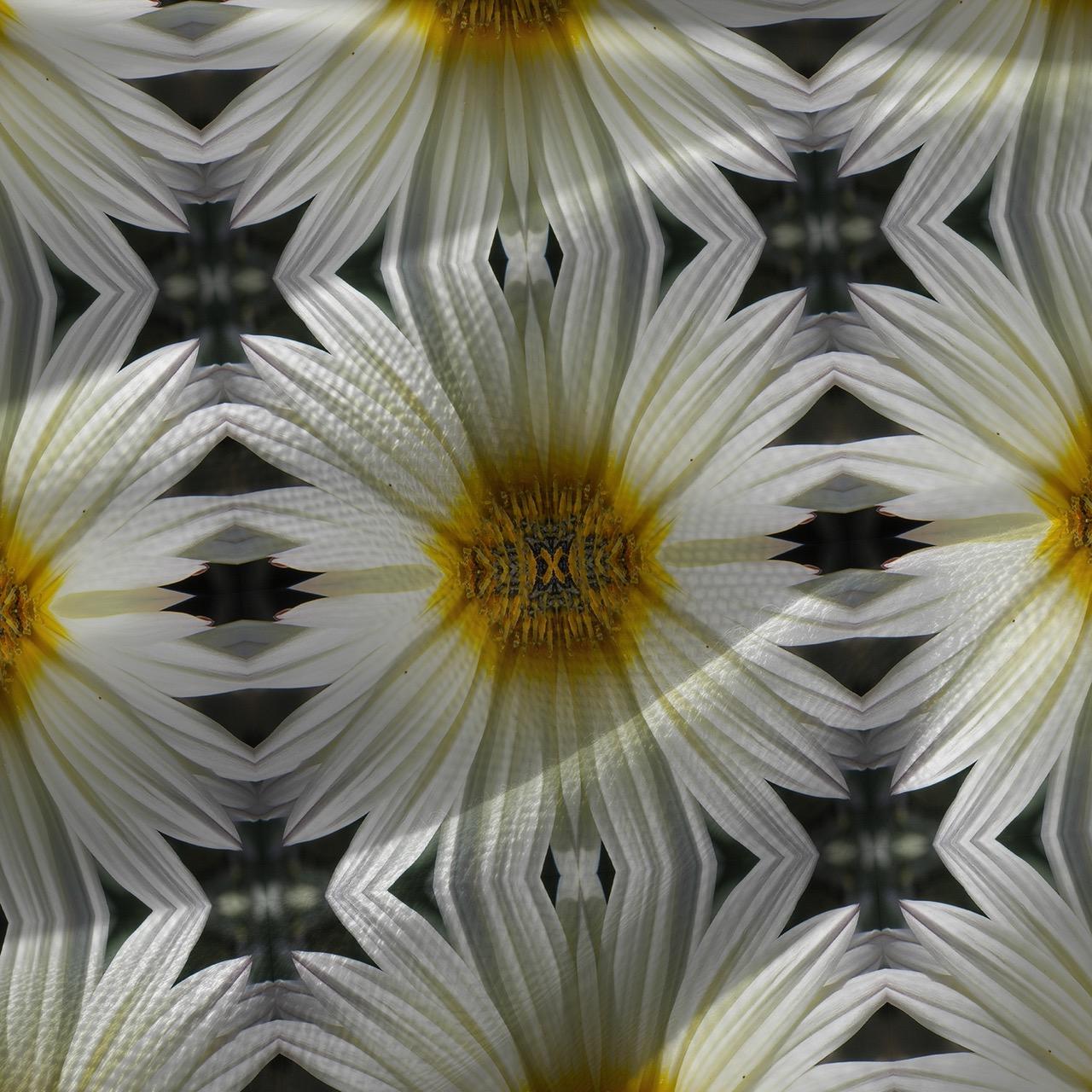 Abstract floral velvet fabric, bold yellow floral textile. Neutral designer fabric, contemporary luxury material for home decor. Curtaining 4