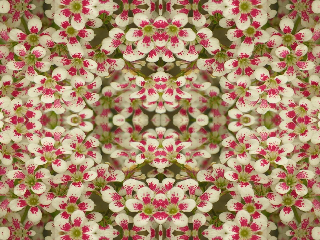 Abstract floral linen fabric, bold pink floral textile. Neutral designer fabric, contemporary luxury material for home decor. Curtaining