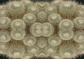 Abstract flower linen fabric, subtle beige floral textile. Neutral designer fabric, contemporary luxury material for home decor. Curtaining 2
