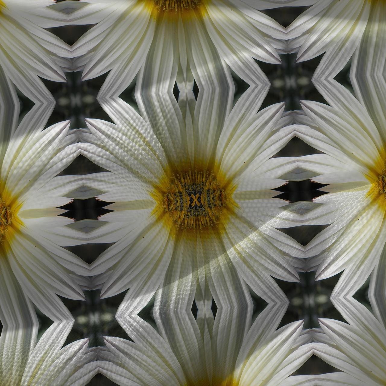 Abstract floral linen fabric, bold yellow floral textile. Neutral designer fabric, contemporary luxury material for home decor. Curtaining 4