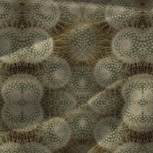 Puede incluir: Primer plano de una colecci&oacute;n de peque&ntilde;os cactus redondos. Los cactus son de color verde p&aacute;lido con espinas blancas que irradian hacia afuera. El fondo es de un marr&oacute;n apagado, creando una est&eacute;tica natural, similar al desierto. La imagen es un patr&oacute;n sin costuras.