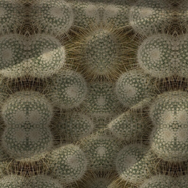 Puede incluir: Primer plano de una colecci&oacute;n de peque&ntilde;os cactus redondos. Los cactus son de color verde p&aacute;lido con espinas blancas que irradian hacia afuera. El fondo es de un marr&oacute;n apagado, creando una est&eacute;tica natural, similar al desierto. La imagen es un patr&oacute;n sin costuras.