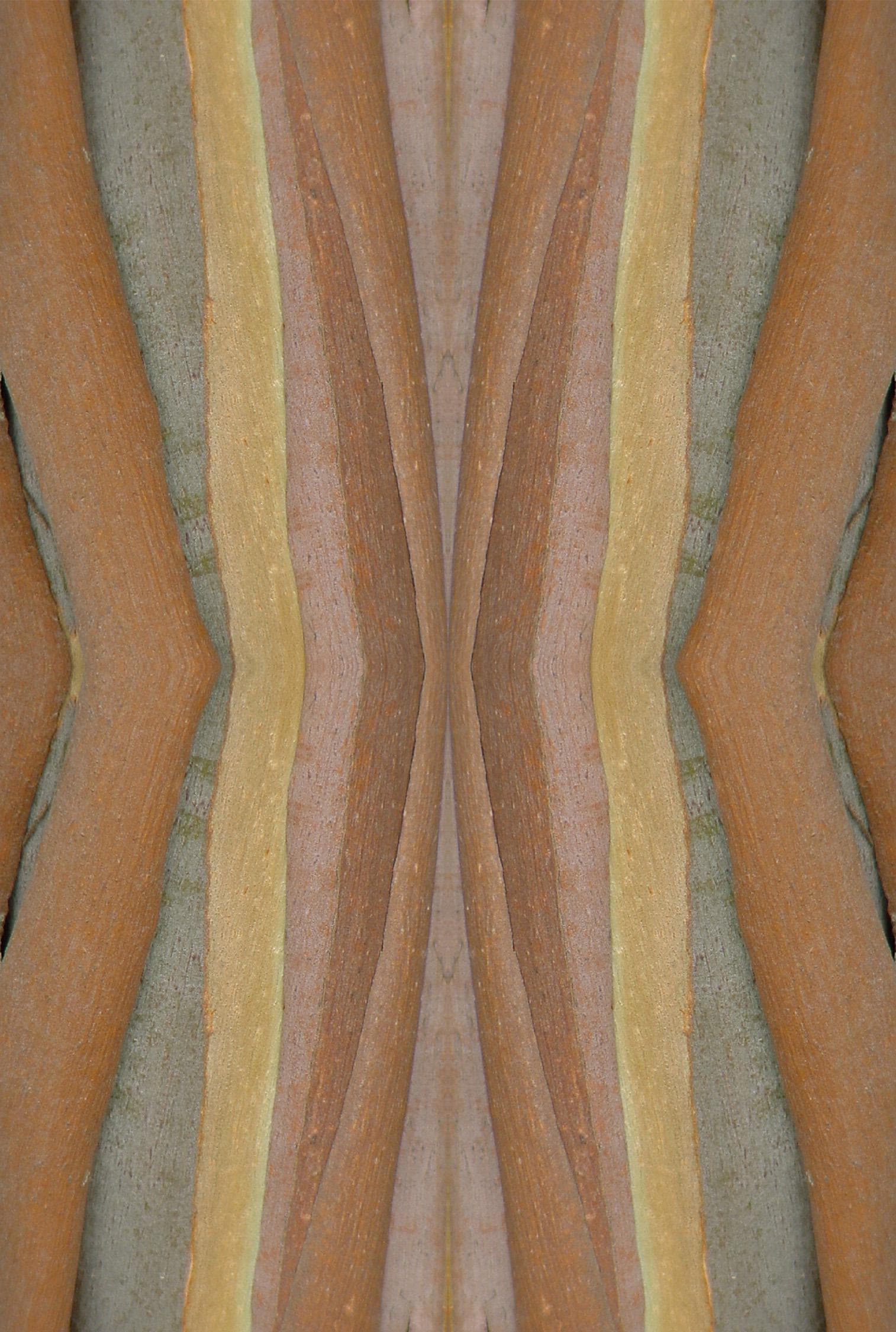 Velvet fabric by the metre. Exclusive designer made, top quality for interiors and furnishings many styles, designs and colours, all unique.