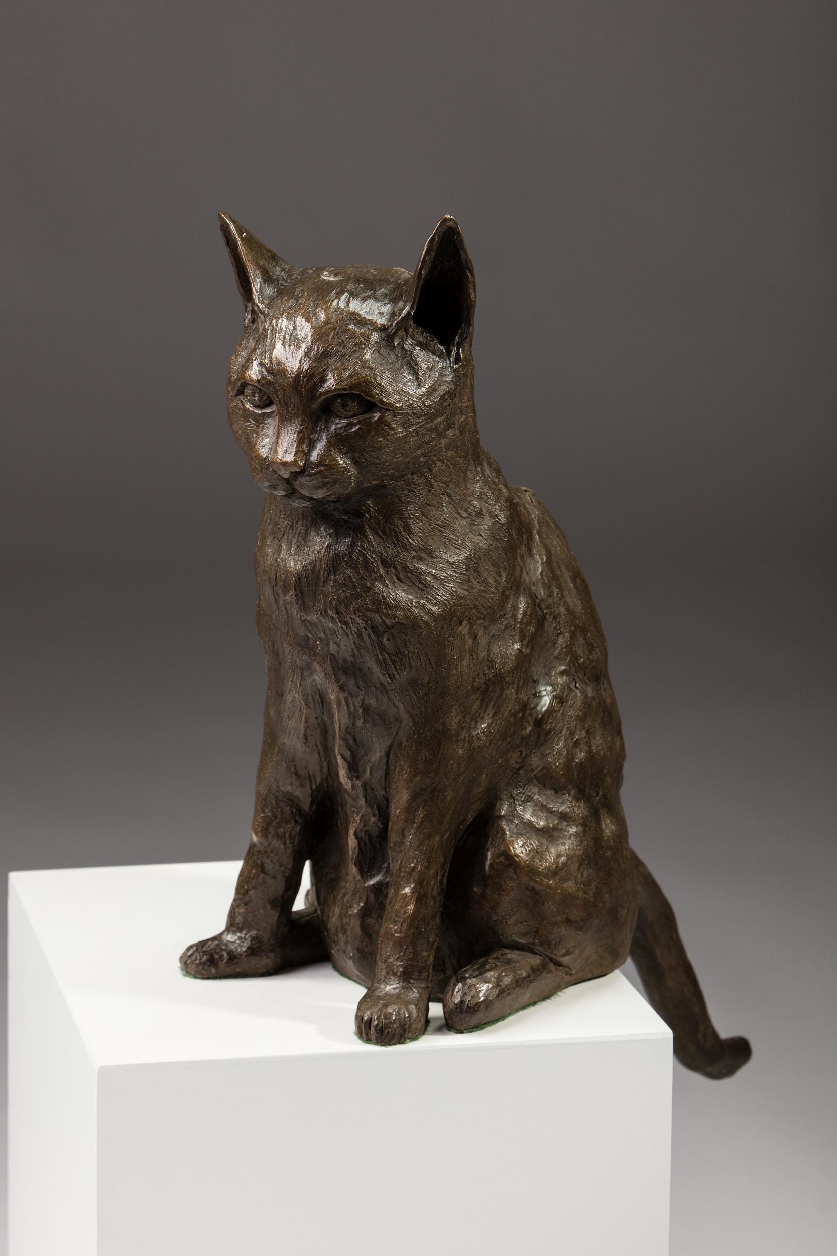 Cat sculpture - Bronze Resin Sculpture by Kate Cledwyn