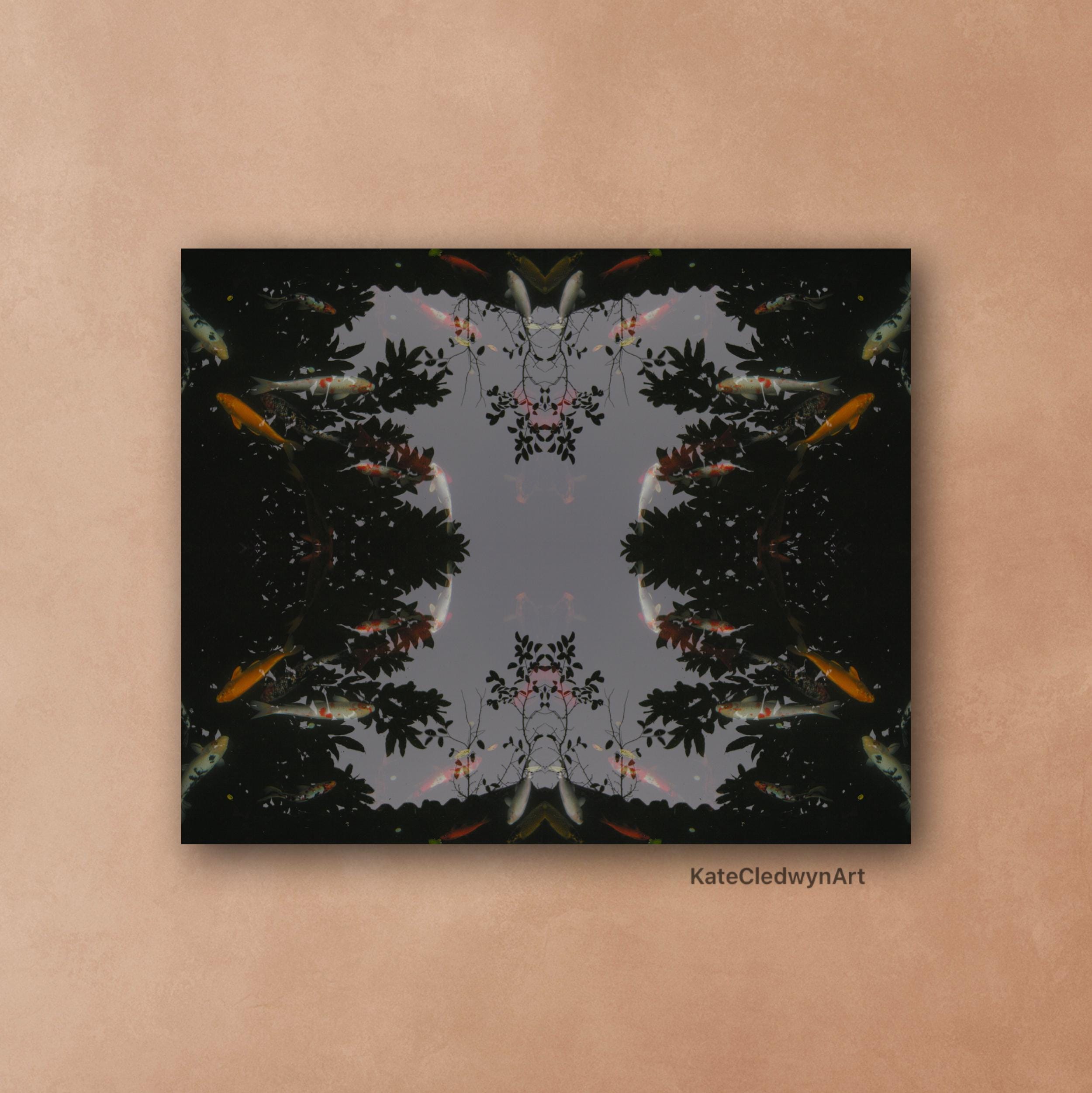 Pond Life Wall Art - Acrylic Mounted Photography by Kate Cledwyn