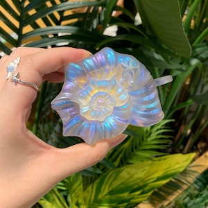 Könnte beinhalten: Dekoratives Objekt in Form einer irisierenden Muschel. Das Objekt hat ein spiralförmiges Design mit Perlmutt-Finish und zeigt Farbtöne von Blau, Lila und Gelb. Es wird vor einem Hintergrund aus grünem Laub gehalten.