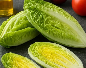 1000 Little Gem Butterhead Lettuce Seeds - Heirloom, Organic, Mini Crisp Lettuce, Non-GMO, Garden Fresh