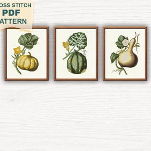 May include: Three framed cross stitch patterns featuring botanical illustrations of gourds and pumpkins. The left frame shows a yellow pumpkin, the centre frame a green striped squash, and the right frame a light-coloured gourd, all with green leaves.