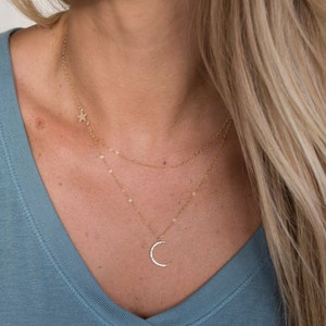Può includere: Una collana dorata a due fili con un ciondolo a forma di luna crescente e un piccolo ciondolo a forma di stella.