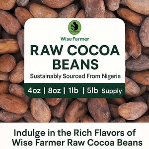 Raw Cacao / Cocoa Beans Whole Chocolate Nigeria Cocoa Bean 4 oz to 5 Lb Bulk