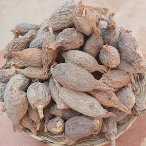 Aligatorpepparkapslar, soltorkad nigeriansk krydda (115 g, 225 g, 0,45 kg)