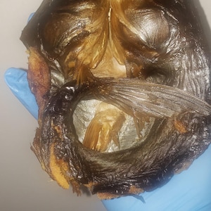 6 pieces  Smoked dried Open Thailand Fish: Ready-to-Use Nigerian Soup Ingredient