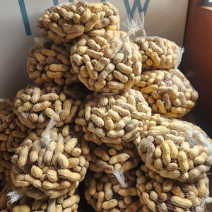 May include: A stack of mesh bags filled with raw peanuts. The peanuts are tan and beige, and the bags are tied with white string. The background features the word "now" in blue.