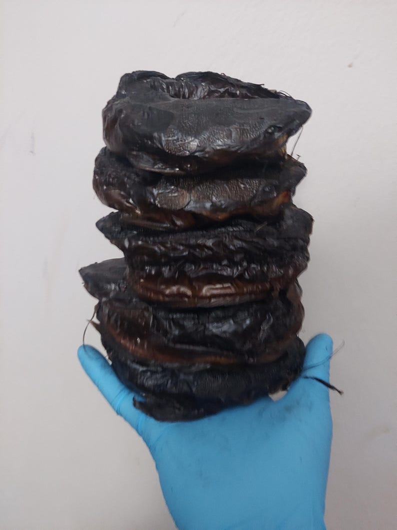 5 Pieces Smoked Dried Catfish Fish: Ready-to-use Nigerian Soup ...