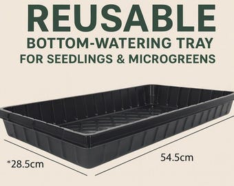 Bottom Watering Seedling Tray | Reusable Microgreen Growing Tray