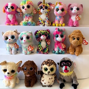 Può includere: Una collezione di peluche colorati di animali, tra cui cani, gatti, una scimmia e un gufo. I peluche presentano grandi occhi espressivi e vari modelli e colori, come arcobaleno, stampa leopardata e colori uniti.