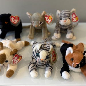Pode incluir: Uma coleção de seis peluches Beanie Baby com vários designs de animais. Os peluches incluem uma pantera negra, um gato cinzento, um tigre, um gato siamês, um tigre e um gato calico. Cada brinquedo tem uma etiqueta em forma de coração Ty.