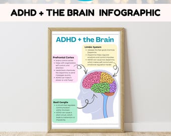 Póster infográfico sobre el TDAH y el cerebro: Decoración para el aula con funciones ejecutivas adaptada a los niños (PDF + PNG)