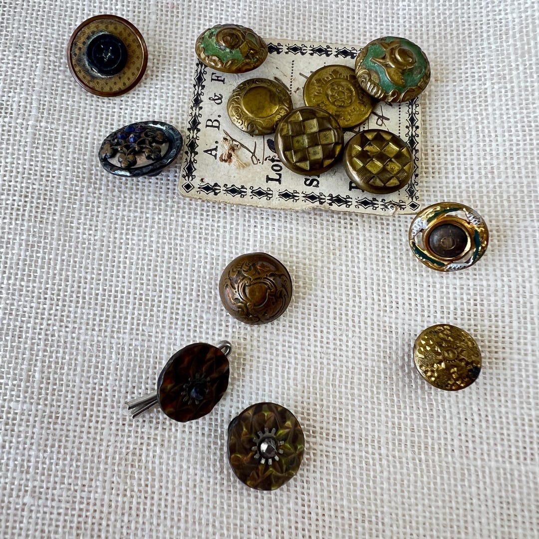 1800s Antique Button Lot Early Examples and Pairs - Etsy