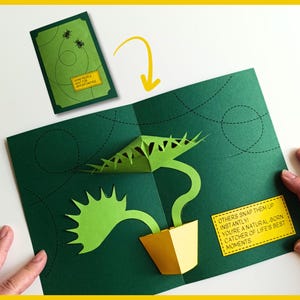 May include: A handmade green pop-up card featuring a Venus flytrap with a yellow pot. The card includes a separate insert with the text "SOME PEOPLE WAIT FOR OPPORTUNITIES." The open card has the text "OTHERS SNAP THEM UP INSTANTLY! YOU'RE A NATURAL-BORN CATCHER OF LIFE'S BEST MOMENTS."