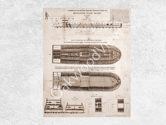 The Slave Ship Brookes Stowage Diagram C1788 Printable - Etsy Finland
