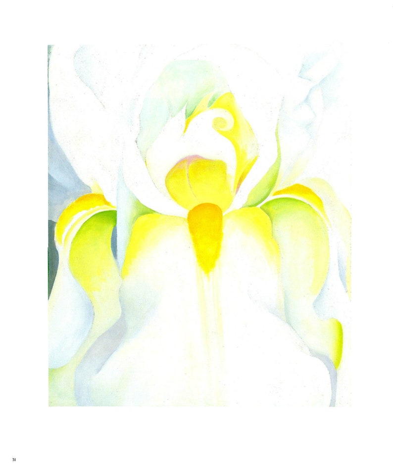 WHITE IRIS by Georgia O'Keeffe Vintage Large Flower Book | Etsy