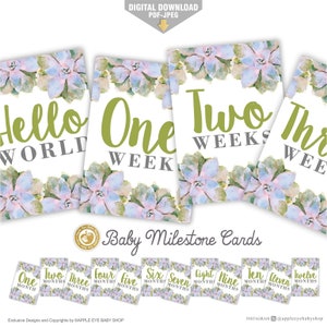 Cartes anniversaire bébé, Succulentes aquarelles, Cartes bébé mensuelles, Cartes bébé première année, Étape importante de bébé fille, Étapes importantes de bébé, Carte de mois de bébé