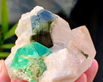 Esemplare di cristallo di tormalina tricolore, lucentezza gemma terminata, miniera di Skardu, Pakistan