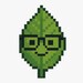 Menta y Pixel