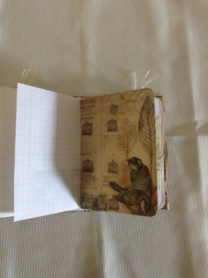 Puede incluir: Un diario de estilo vintage con una cubierta de papel marr&oacute;n con un estampado de p&aacute;jaros y hojas. El diario tiene un interior de papel cuadriculado.