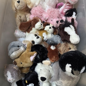Puede incluir: Una colección de varios animales de peluche en un contenedor de plástico. El surtido incluye un perro beige, un oso rosa, un caballo blanco y negro, un delfín gris, un canguro marrón, un pingüino blanco y negro y un gato blanco con manchas grises.
