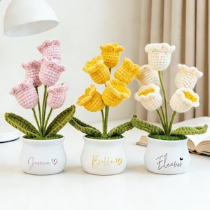 Peut inclure: Trois arrangements de tulipes au crochet dans des pots blancs. L'un présente des tulipes roses, un autre jaunes et le dernier blanches. Chaque pot porte un nom et un symbole de cœur. Les tulipes ont des tiges et des feuilles vertes, sur une surface blanche.
