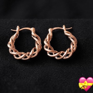 Könnte beinhalten: Ein Paar Ohrringe in Form von Creolen aus Roségold mit einem gedrehten, seilartigen Design. Jeder Ohrring hat eine kreisförmige Form mit einer polierten metallischen Oberfläche und einem klappbaren Stiftverschluss, der ein durchgehendes Flechtmuster zeigt.