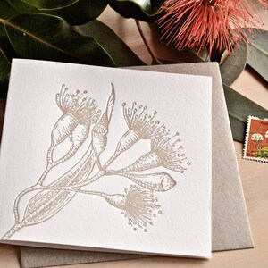 Australian Native Flora Letterpress Cards All Occasion Collection, Blank greeting card, Banksia, grevillia, flowering gum