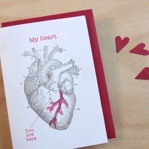 5 Pack, SALE PRICE Valentine's Day, greeting card, Mother's day anatomical heart, vintage image black and red ink made in Australia