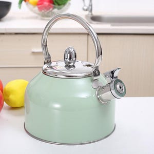 Japansk vattenkokare i rostfritt stål | 2,5 l kaffe-/tebryggare | Visslingkokare | Visslingkokare med handtag i rostfritt stål | Vattenkokare med låga