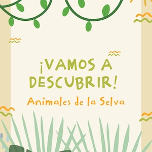Let&#39;s Discover Jungle Animals