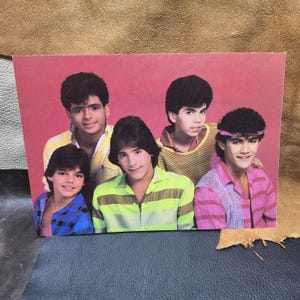 May include: A rectangular photograph featuring five individuals with dark hair posing against a solid pink background. The individuals are wearing colorful shirts, including patterns in blue, yellow, green, and pink, with one person wearing a pink headband.