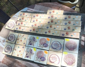 30 Paul brent Mixed vintage  seashell starfish sea life decorative ceramic tiles