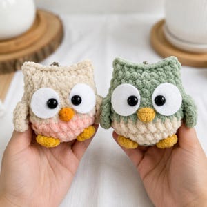 Pode incluir: Dois peluches de coruja feitos em crochê com texturas de fio macio. A coruja da esquerda é creme e rosa claro com grandes olhos de feltro branco, pupilas pretas, bico laranja e pés amarelos. A da direita é verde sálvia e creme com detalhes iguais.