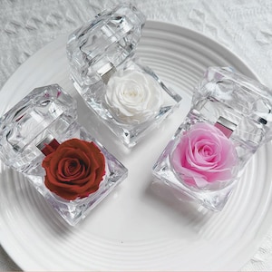 Preserved Rose Gift in Drawer Box – Never Withered Flower for Valentine’s Day, Birthday, Anniversary – Red or White