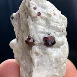 May include: A rough, off-white mineral specimen with several dark red, crystalline garnets embedded within. The garnets are small, with a deep, rich color, contrasting with the lighter matrix. The overall texture is rough and uneven, showcasing natural geological formations.