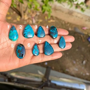 Puede incluir: Ocho gemas pulidas, en forma de lágrima y ovalada, en tonos turquesa y azul oscuro. Las gemas están numeradas del 1 al 8. Las gemas se sostienen en una mano, con un fondo borroso al aire libre.