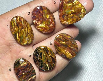 Cabujón de pietersita natural, piedra suelta de forma mixta azul y dorada para la fabricación de joyas.